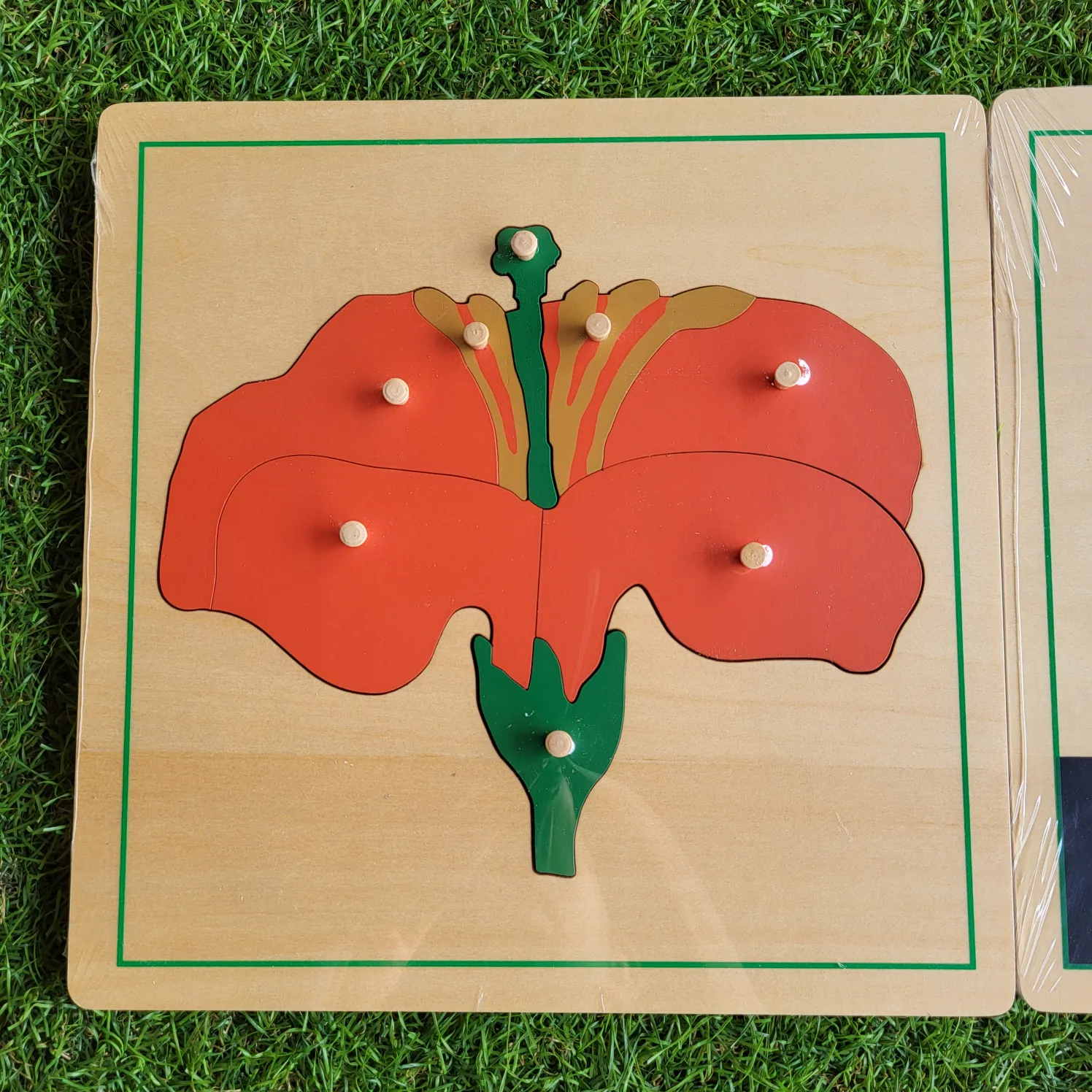 Botany Puzzles